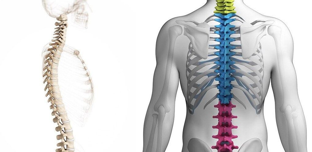 a mellkasi gerinc elváltozása osteochondrosisban